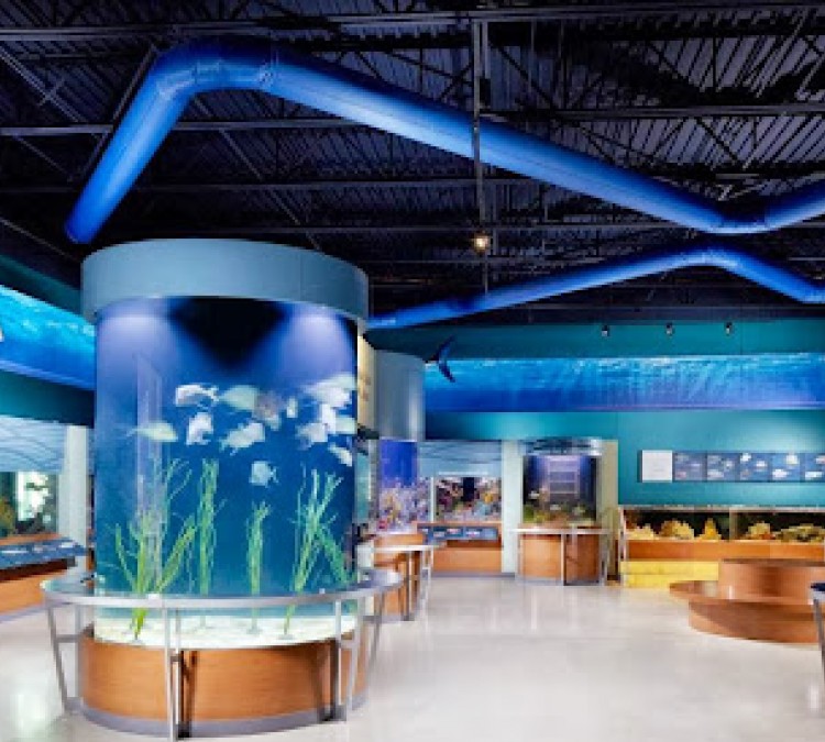 Cox Science Center and Aquarium (West&nbspPalm&nbspBeach,&nbspFL)